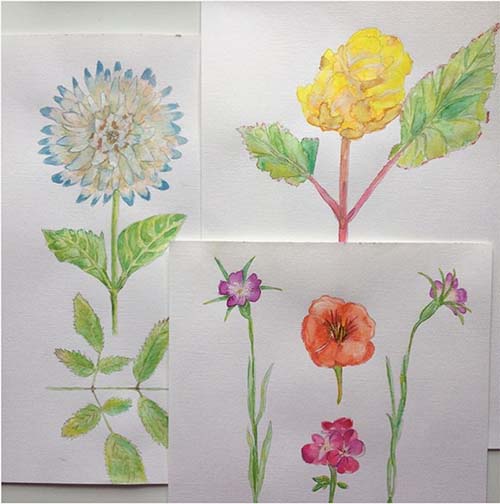 Watercolour Botanicals by Tina Devins